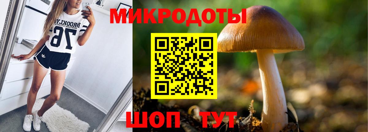 Галлюциногенные грибы ЛСД Осинники